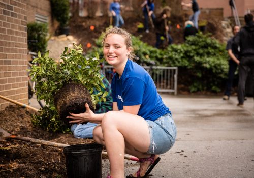 Woman planting a bush on Greenfest Workday on campus