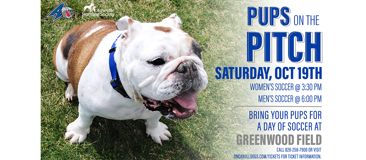 PupsOnPitch web Poster shows bulldog puppy along with event information