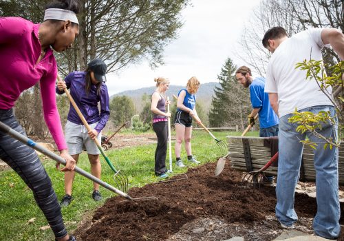 students doing landscaping work
