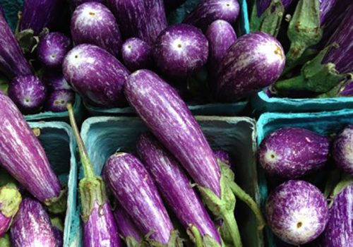 Locally grown eggplants