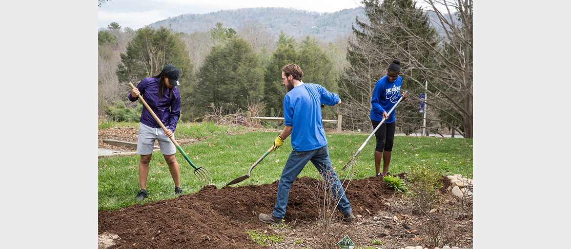 students gardening on campus