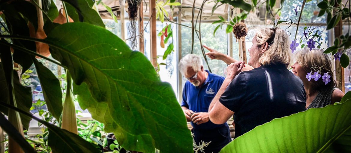 Visitors point at plants inside the solarium.