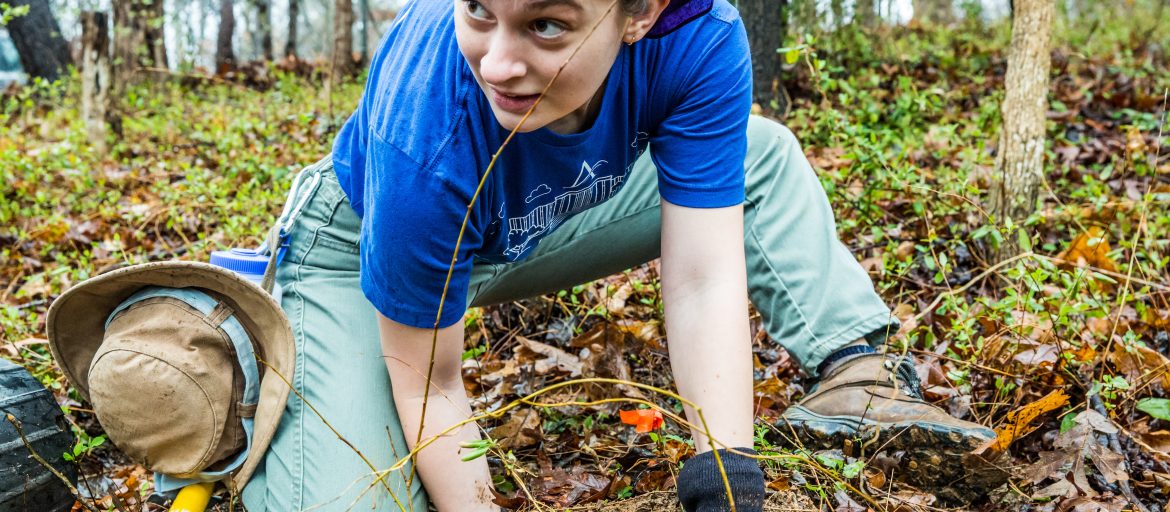 a student digs in the dirt