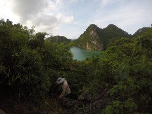 trees, mountains, water
