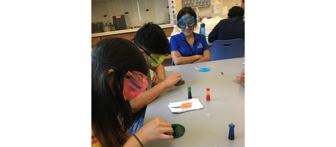 students conduct science experiments