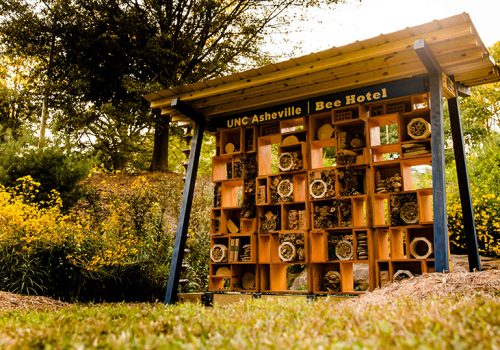 UNC Asheville's Bee Hotel