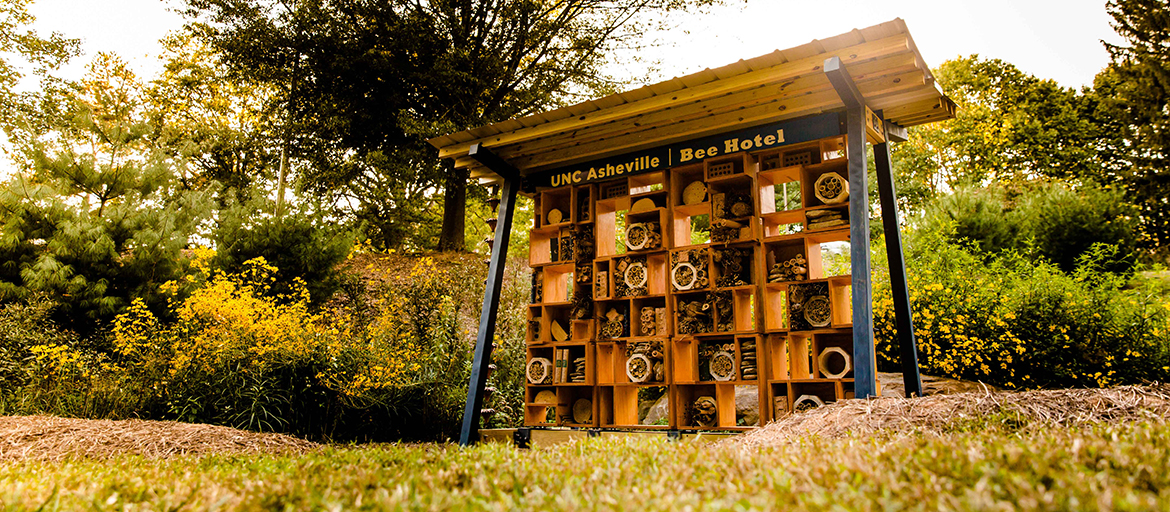bee-hotel-unc-asheville web UNC Asheville's Bee Hotel