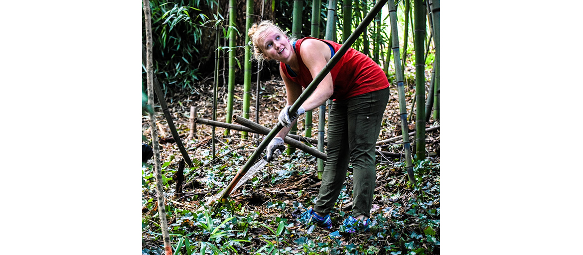 a woman clears bamboo