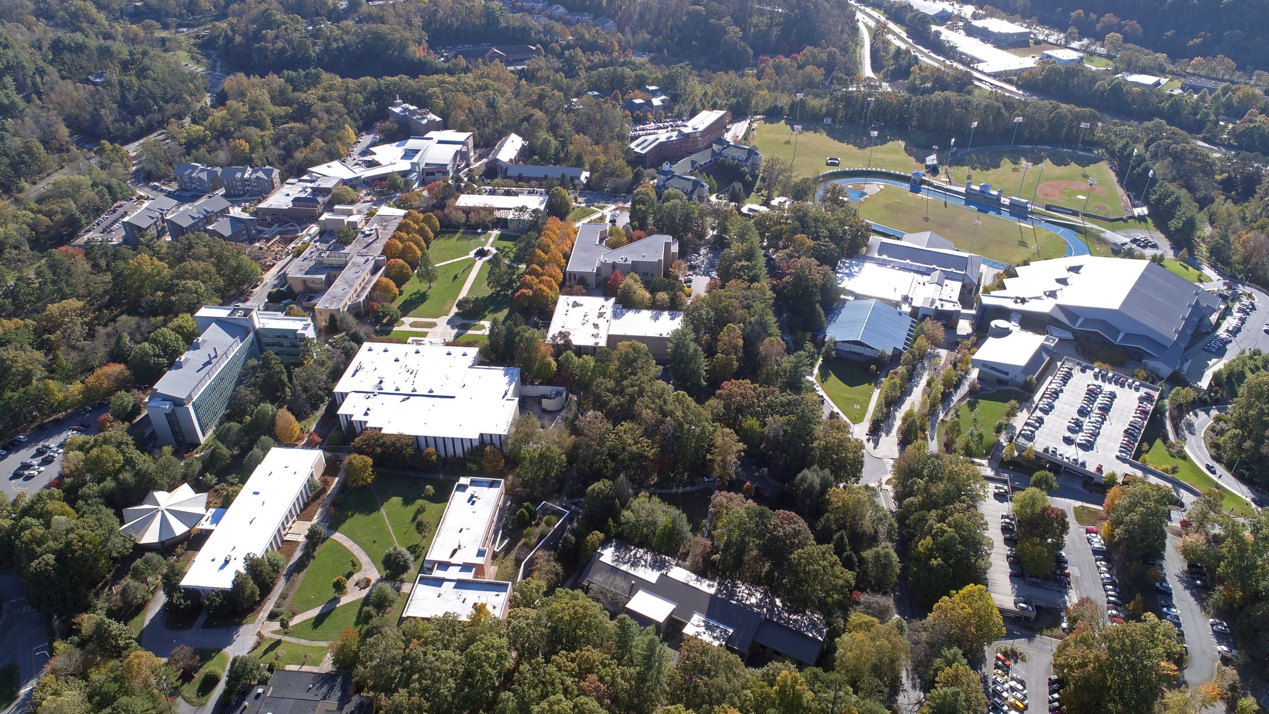 UNC Asheville Earns Tree Campus USA Recognition for Second