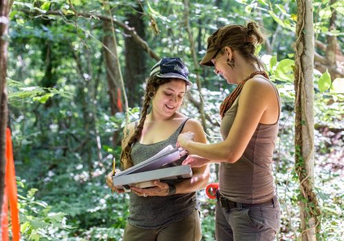 Two students taking notes in the woods