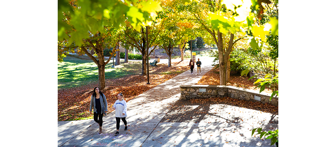 UNC Asheville Waives Application Fees for CFNC Application during