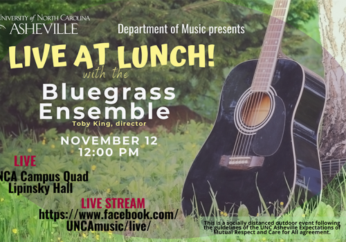 poster shows date and time and depicts a guitar on the lawn