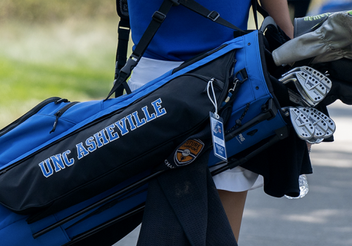 A golf bag with equipment inside