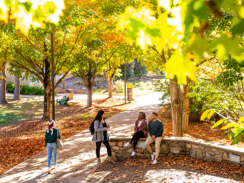 Unc Asheville Celebrates Countdown To College With College Application Week: Application Fee Waived, Oct 18-22, Fafsa Day On Oct. 23 - News And Events | Unc Asheville