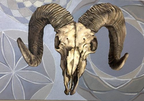 A ram's skull