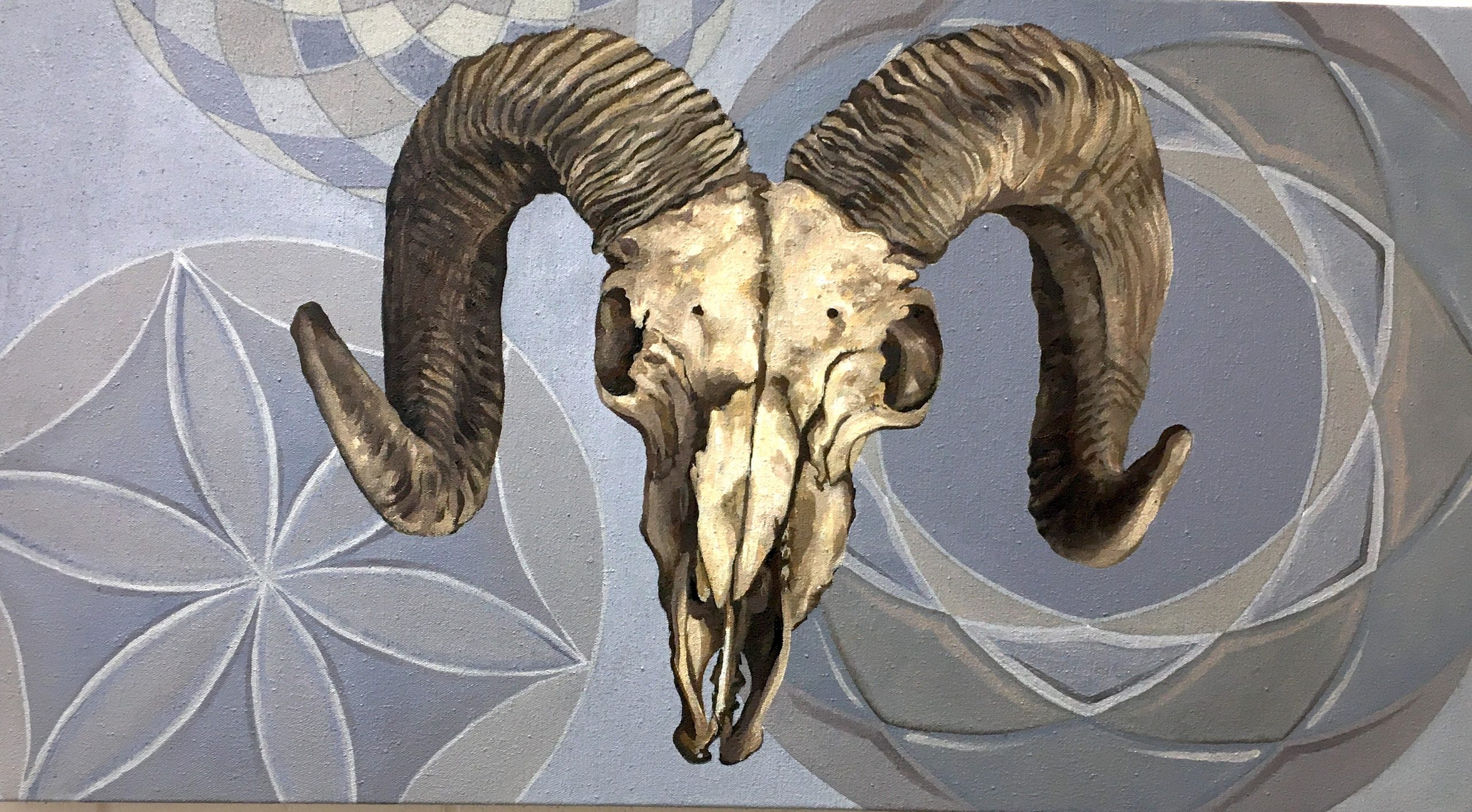 CaseyA A ram's skull