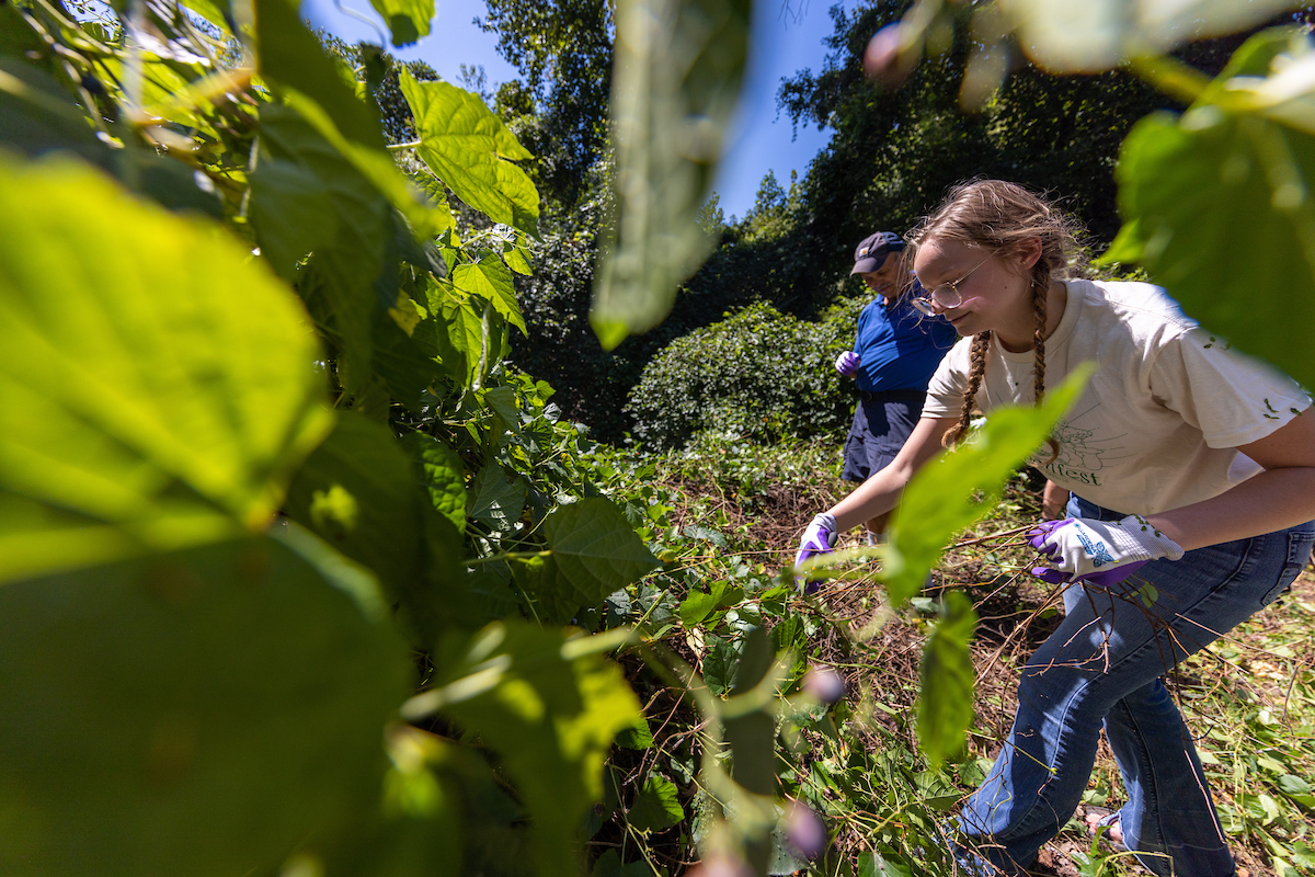 UNC Asheville makes Princeton Review’s Top 50 “Guide to Green Colleges