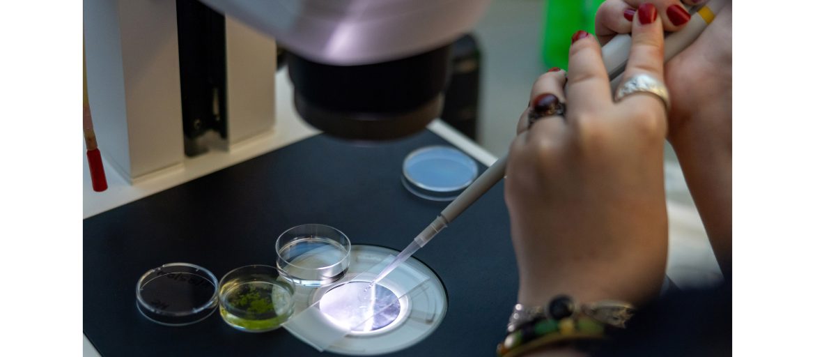 A photo of a student pipetting a sample onto a microscope slide.