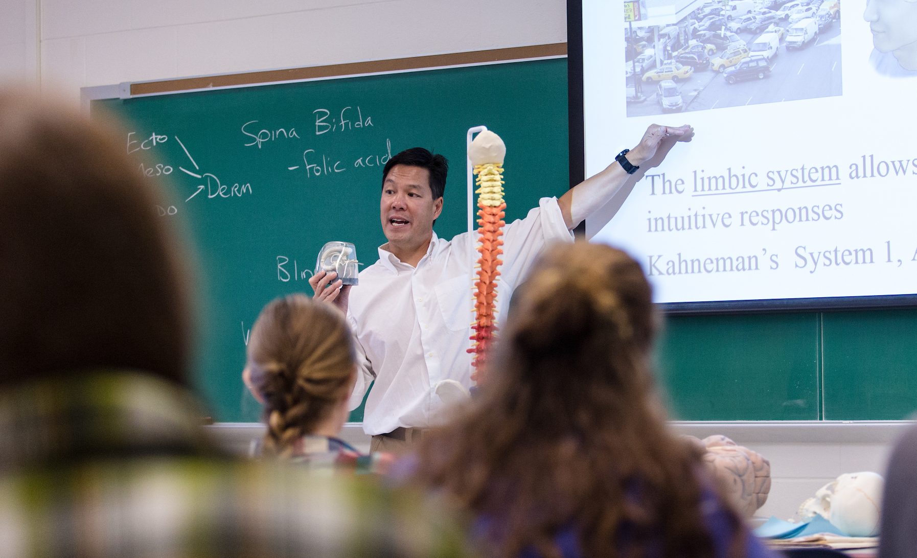 A professor lecturing about the limbic system with a model of a spine in front of him.