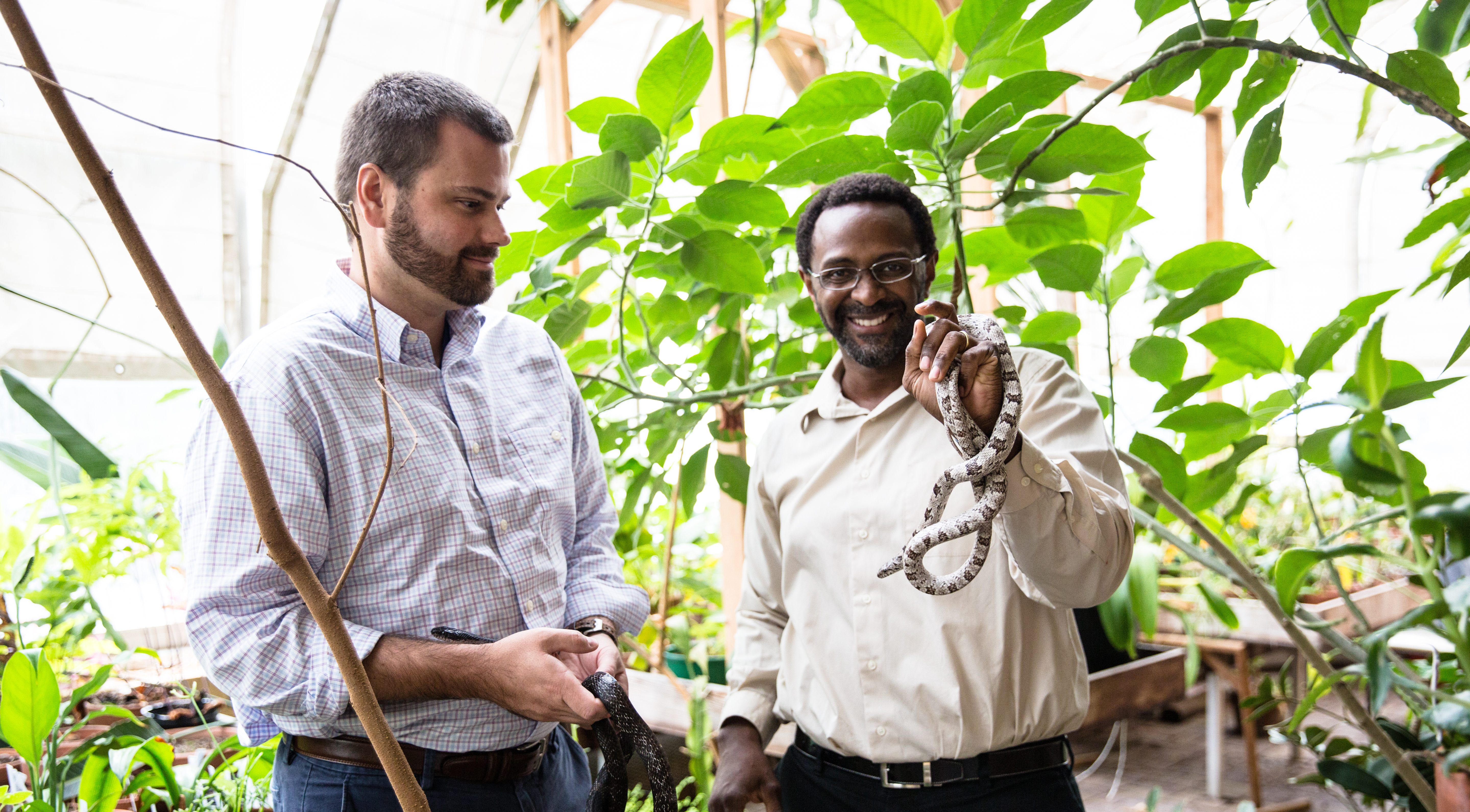 Faculty members holding snakes