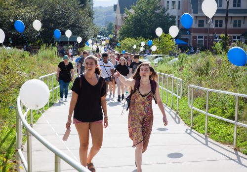 first year students apply to unc asheville today unc unc letter of recommendation