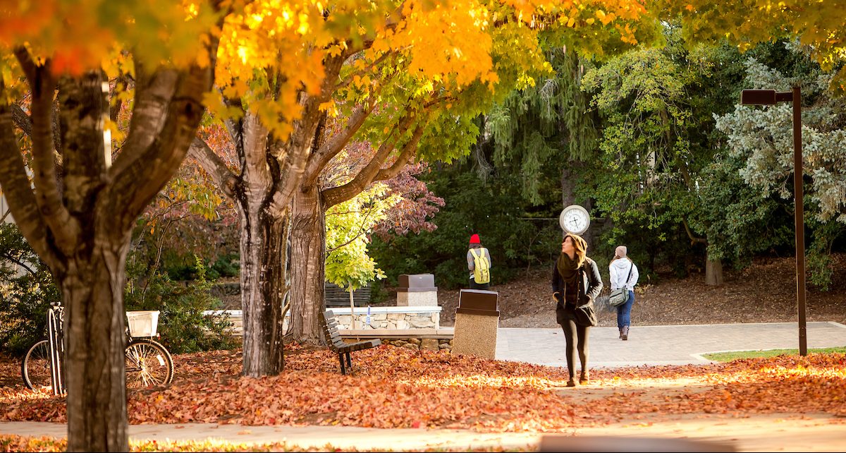 UNC Asheville Revitalization Plan 20212028 UNC Asheville