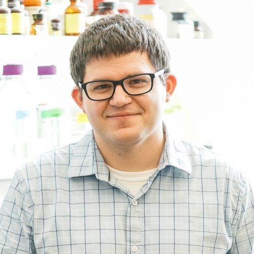 Ryan Steed, Ph.D.