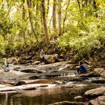 UNC Asheville and Asheville Botanical Garden Extend Partnership for 50 Years